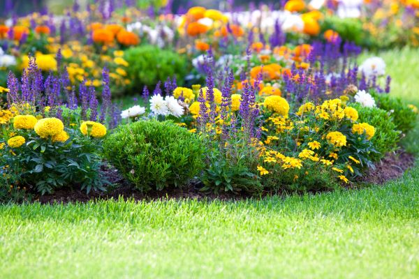 Flower Bed Maintenance in North Port