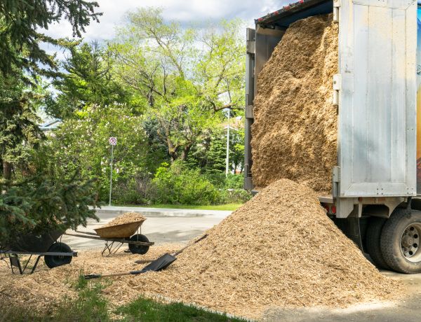 Wood Chips Delivery in North Port