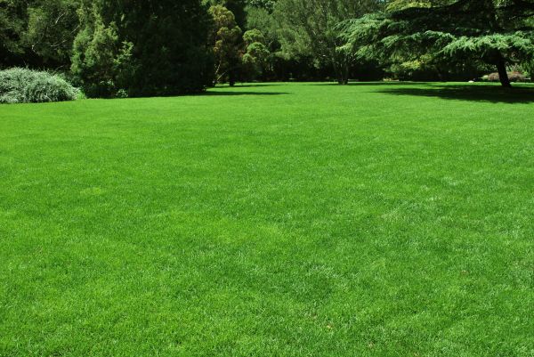 Lawn Landscaping in North Port