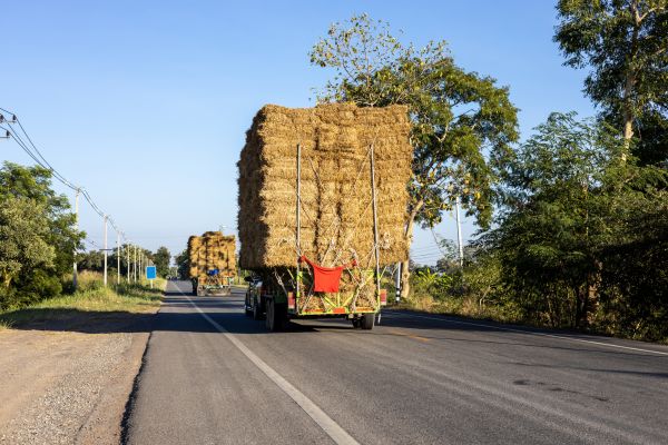 Pine Straw Delivery in North Port