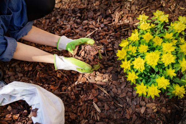 Garden Mulching in North Port