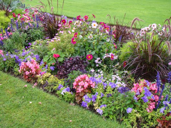 Flower Garden Design
