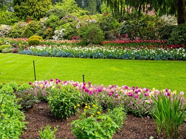 Residential Landscape Design in North Port