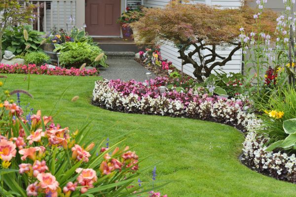 Perennial Landscaping in North Port