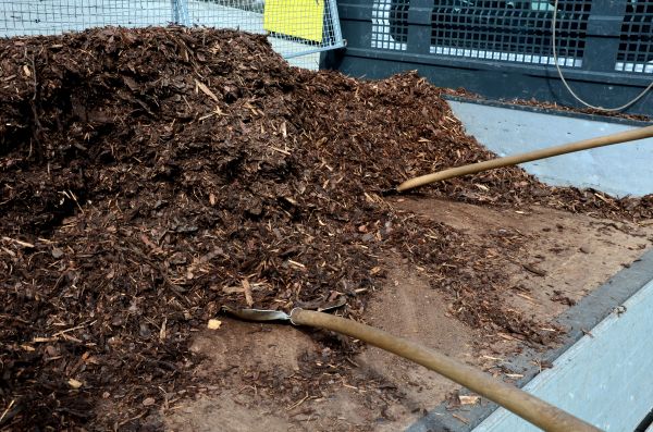 Mulch Disposal