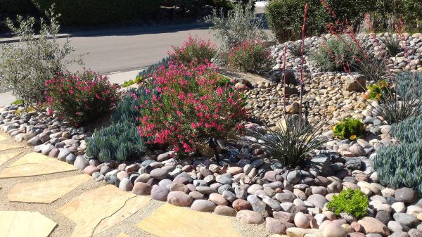 Xeriscape Landscaping in North Port