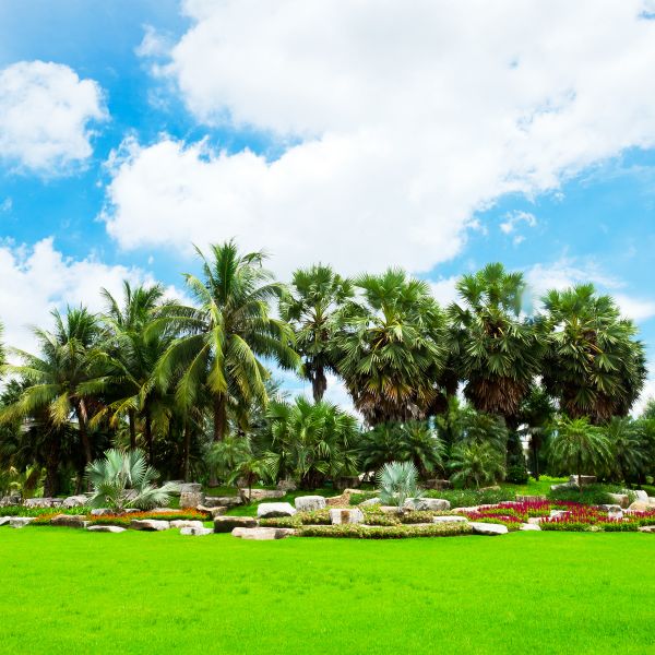 Tropical Landscaping in North Port