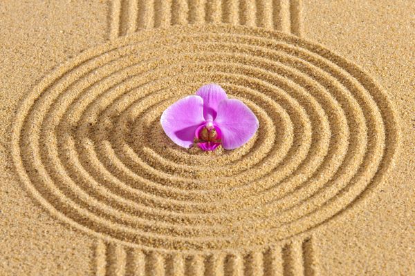 Sand Garden Landscaping in North Port