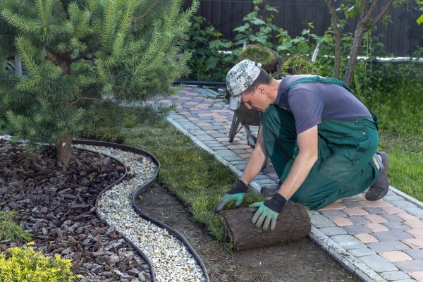 Landscaping Modification in North Port