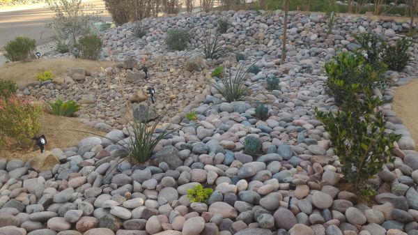 Yard Xeriscaping in North Port