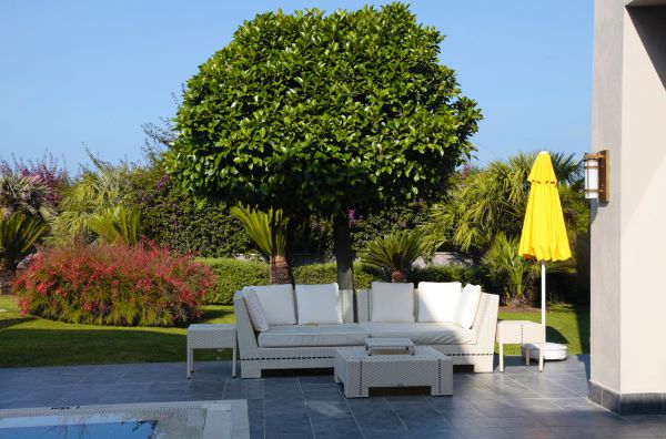 Outdoor Garden Improvement