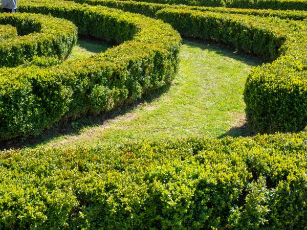 Bush Landscaping in North Port