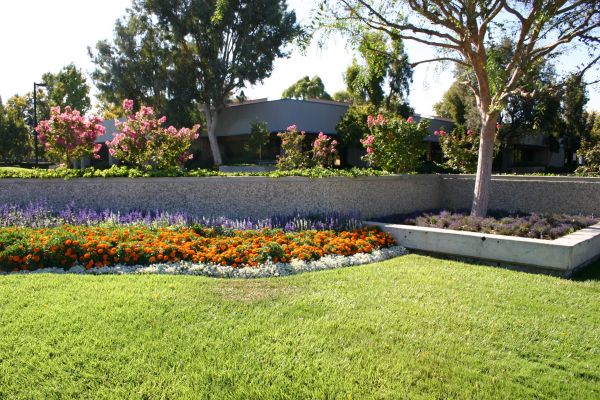 Commercial Landscape Service in North Port