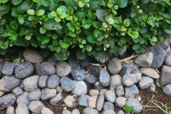 River Stone Installation in North Port