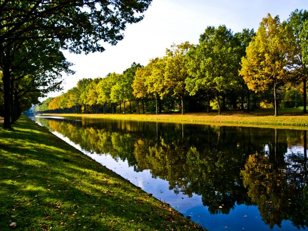 Bank Landscaping in North Port
