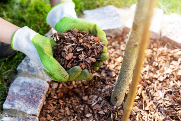 Tree Bark Delivery in North Port
