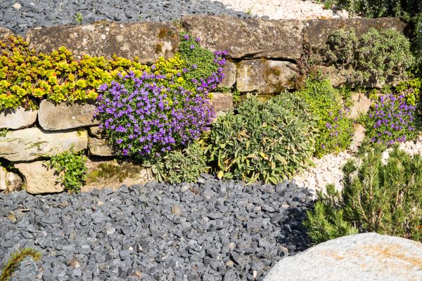 Landscaping Rocks Installation in North Port
