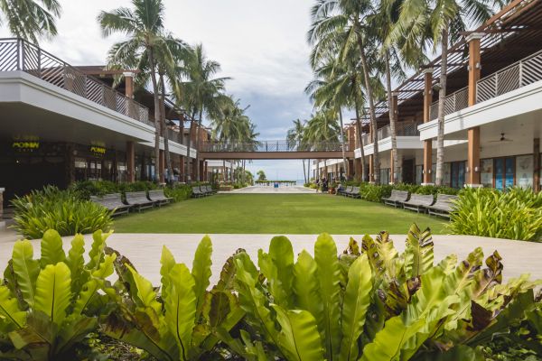 Commercial Lawn Renovation in North Port