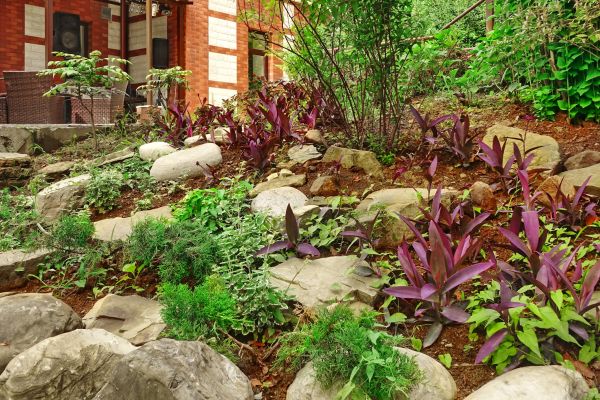 Rock Garden Landscaping in North Port