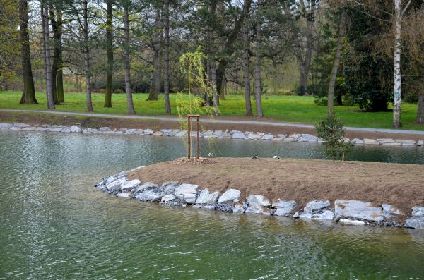 Pond Landscaping Service in North Port