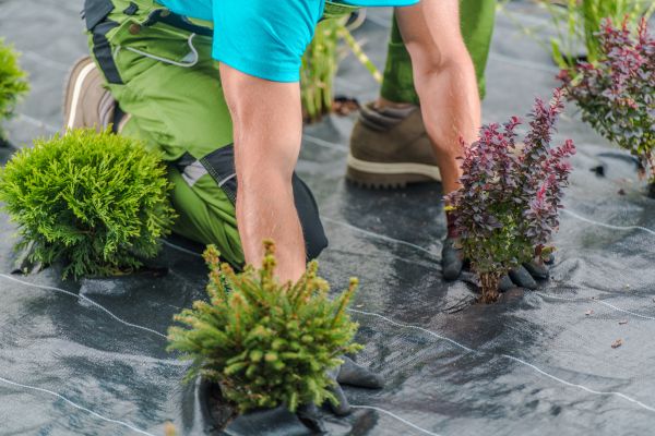 Weed Control Fabric Service