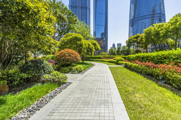 Commercial Landscaping in North Port